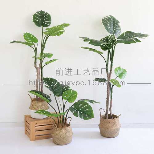 室内北欧网红绿植盆栽仿真旅人蕉天堂鸟贵妃葵植物龟背树盆景落地