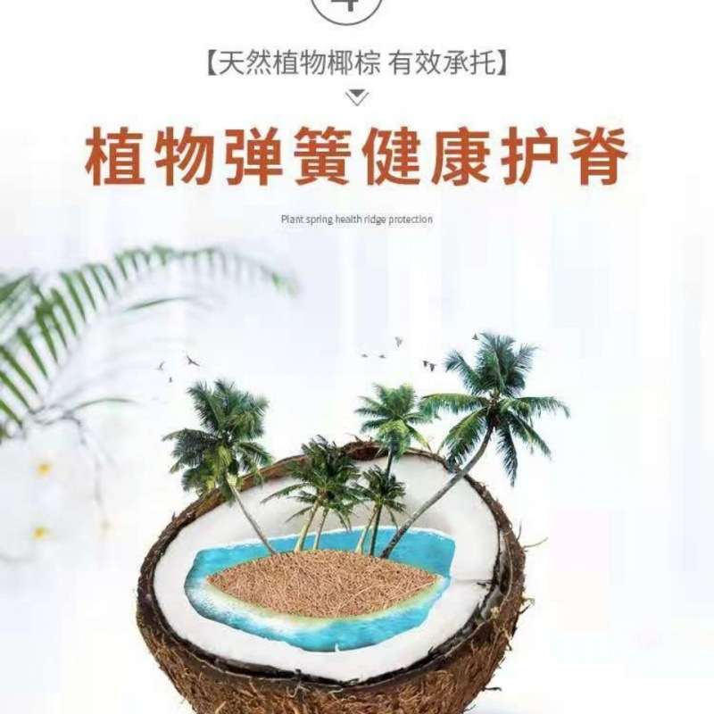 弹簧床垫双人20cm厚1.8米乳胶垫1.5米椰棕床垫软硬两用跨境