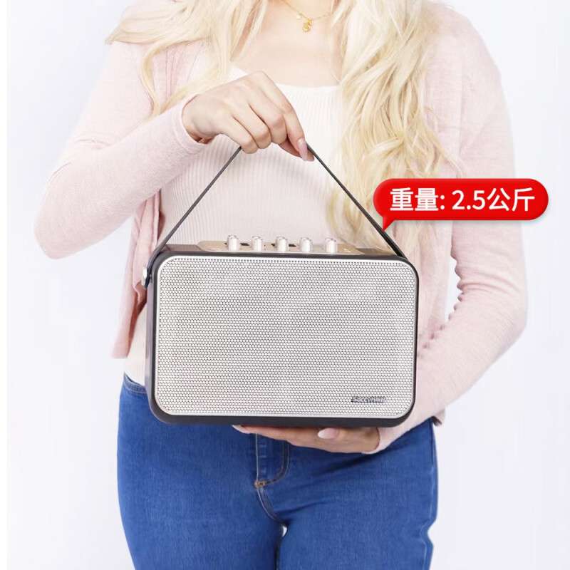 尚好S6s6吹管小音箱专用户外音箱萨克斯便携充电吹管音响直播内录