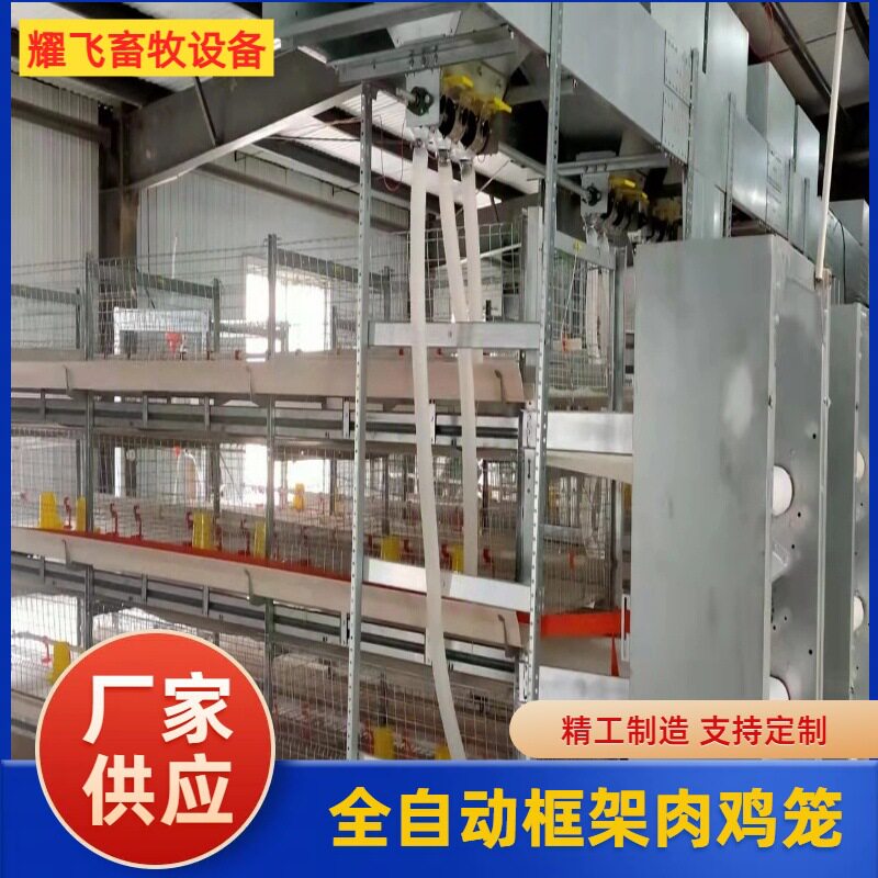 肉鸡框架笼生产厂家层叠式养鸡设备加密加粗蛋鸡笼子自动清粪设备