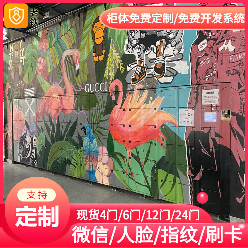 合肥/酒吧KTV智能指纹识别储物柜/超市商城存包柜/联网式寄存柜子