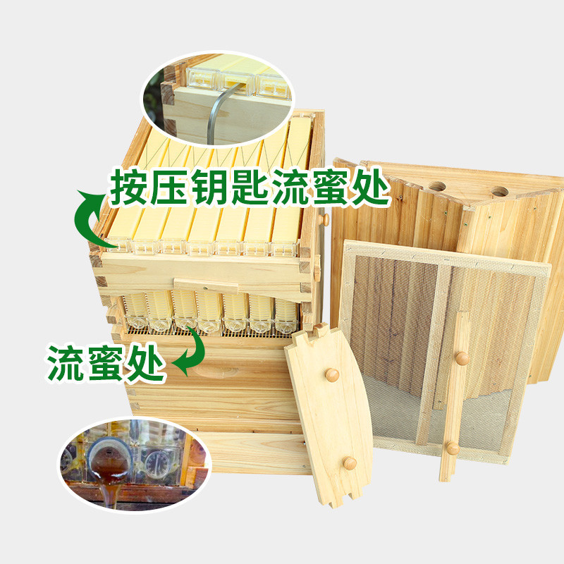 出口自流蜜蜂箱蜜蜂蜂箱全自动全套蜜蜂别墅自流蜜蜜蜂箱批发蜜脾