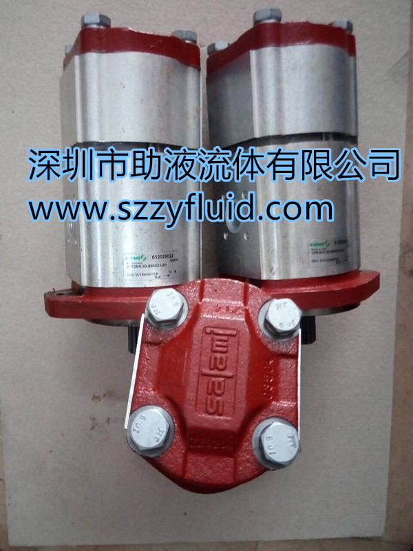 意大利齿轮泵客梯车油泵salmi 2PE13,8D-G85S6-PUMP萨拉米齿轮泵
