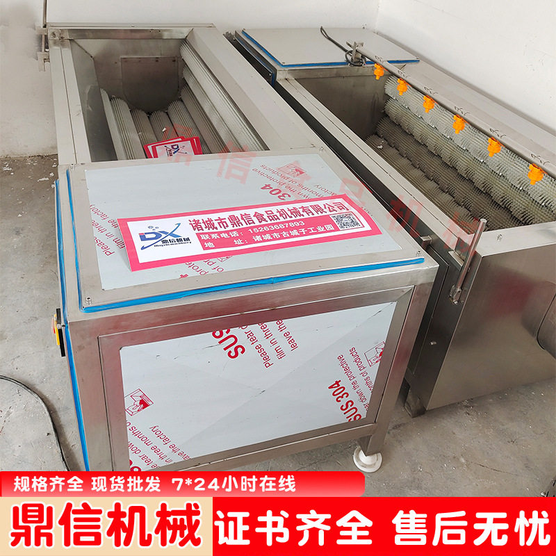 鼎信不锈钢果蔬毛辊清洗机