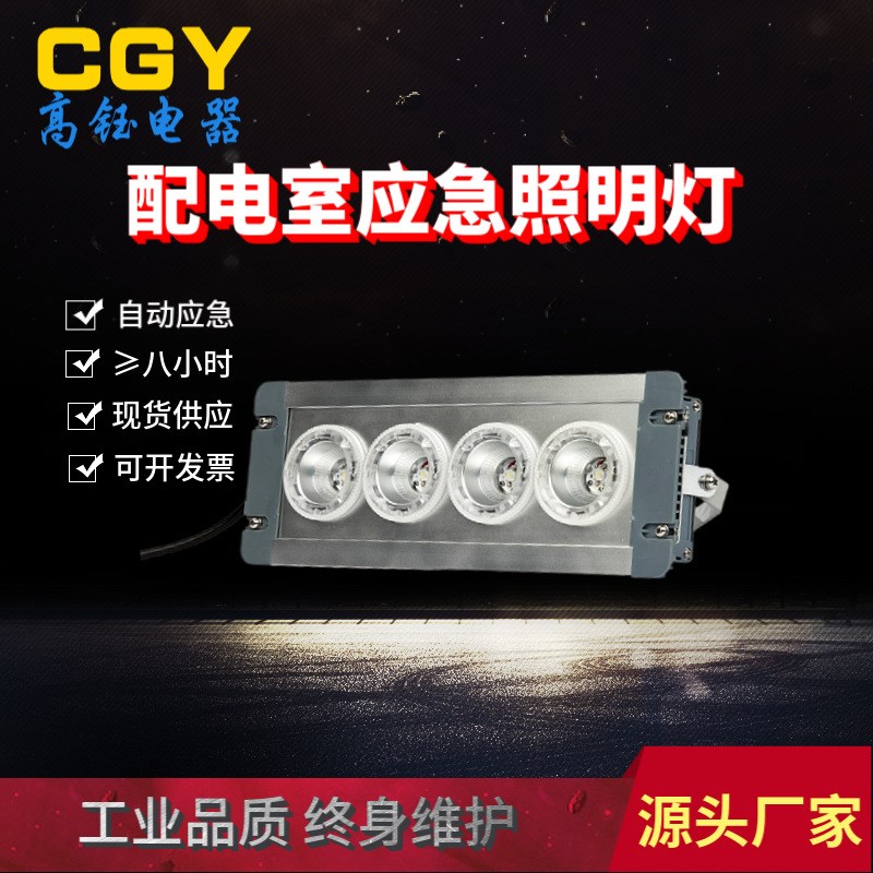 LED应急灯顶灯GMEq6080断电应急电缆地沟停电应急照明灯地沟灯