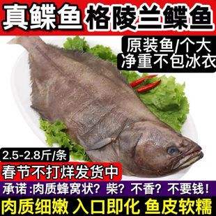 整条大鲽鱼2斤格陵兰比目鱼碟鱼头鲽鱼身新鲜冷冻深海鱼包邮