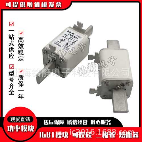 170M2608 170M2609 170M2610 170M2611巴斯曼熔断器现货170M2612