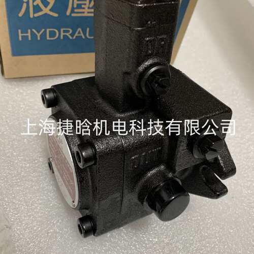 LAIFENG电机油泵组 C02-43B0-7S 2HP-1.5KW液压马达 SVPF-20-A3