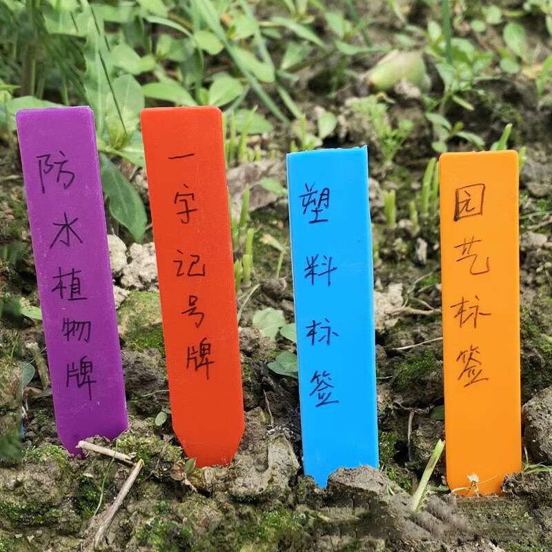 VLEN 一字型加厚PP标签 农业塑料插地签 花卉植物分类标记牌500个