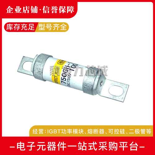 1000GH-32UL 1000GH-40UL 1000GH-50UL快速熔断器 保险丝 断路器