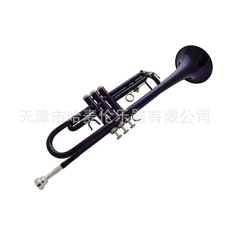 厂家销售哈麦伦彩色小号乐器降B调紫色铜管吹奏专业演奏初学乐队