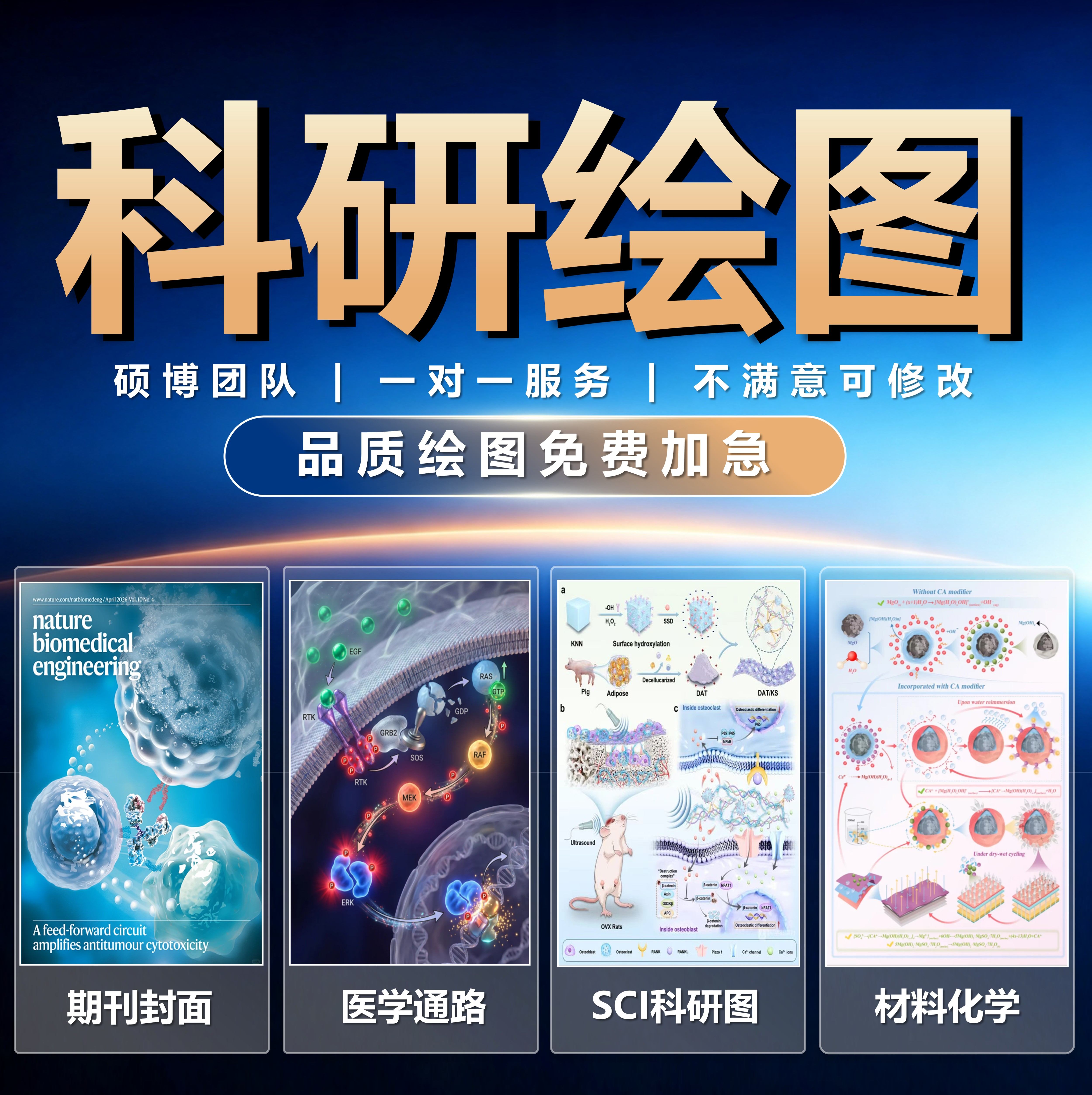 专业科研绘图·硕博团队·包修改图片