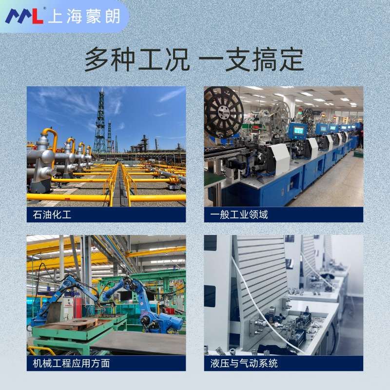 MP6451隔膜卫生型压力控制器4-20mA PNP带数显平膜压力开关PSD-4