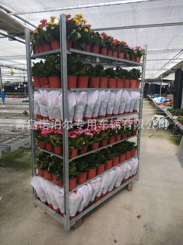 2019新款金属花卉蔬菜育苗车