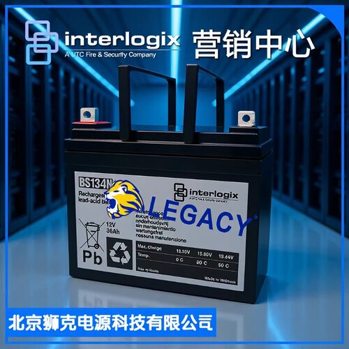 INTERLOGIX铅酸蓄电池12V36AH