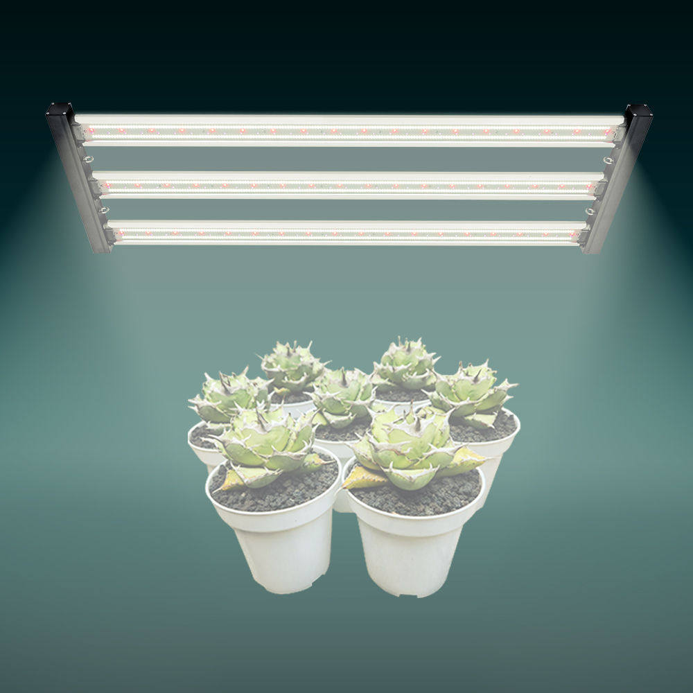 龙舌兰专用盆栽花卉400W植物补光灯红光660全光谱种植生长灯