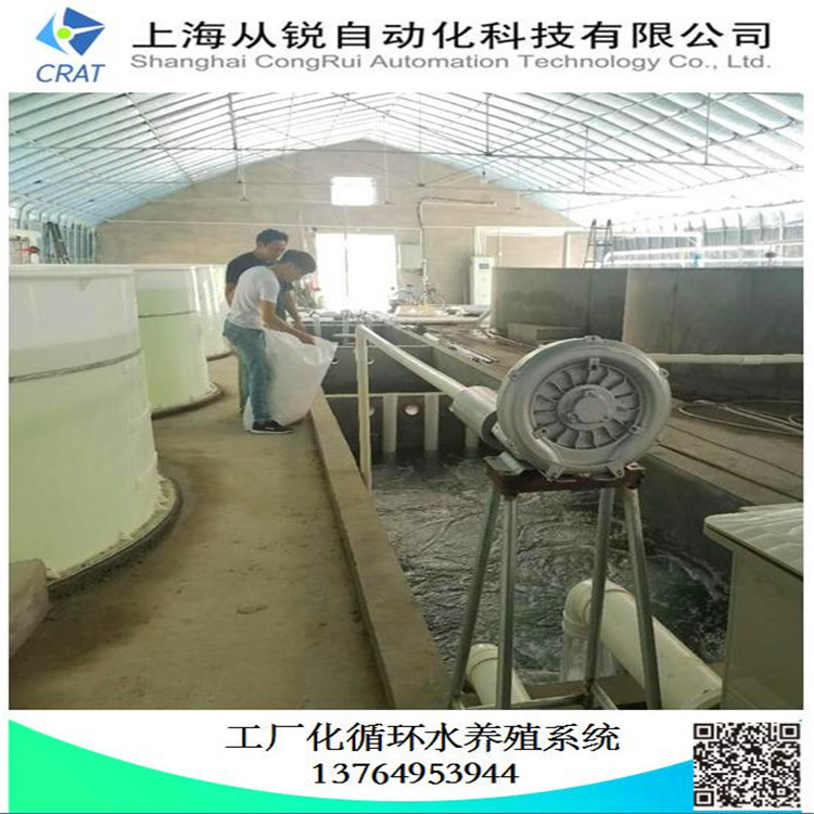上海从锐工厂化三文鱼循环水养殖/养殖系统设计/鲑鱼工厂化养殖