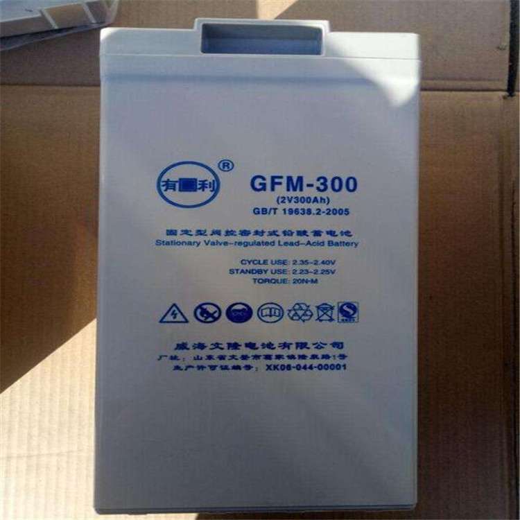 YOULI蓄电池6-GFM-200有利蓄电池12V200AH现货 免维护铅酸蓄电池