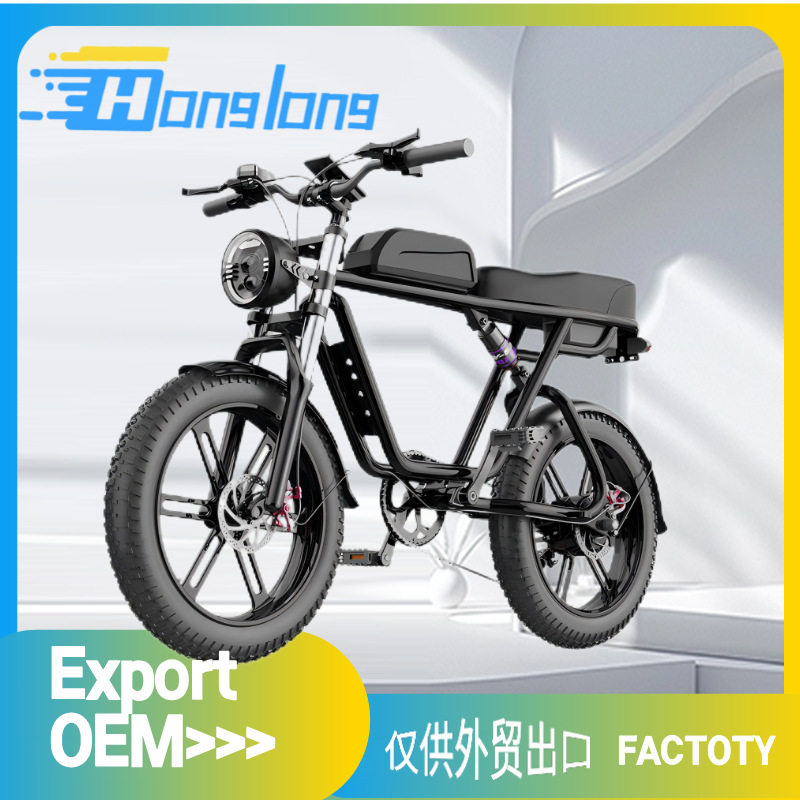 20寸48V500W电动自行车助力车锂电哈雷油刹出口外贸载重王电摩