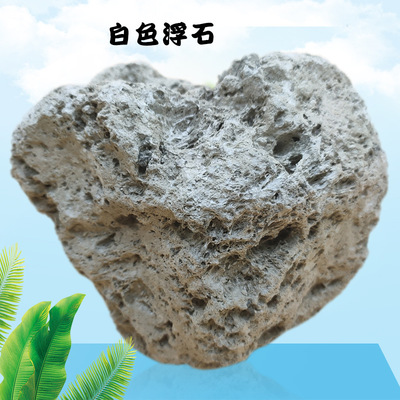 浮石优质轻石10-20公分大块浮石多肉铺面填料用浮石颗粒