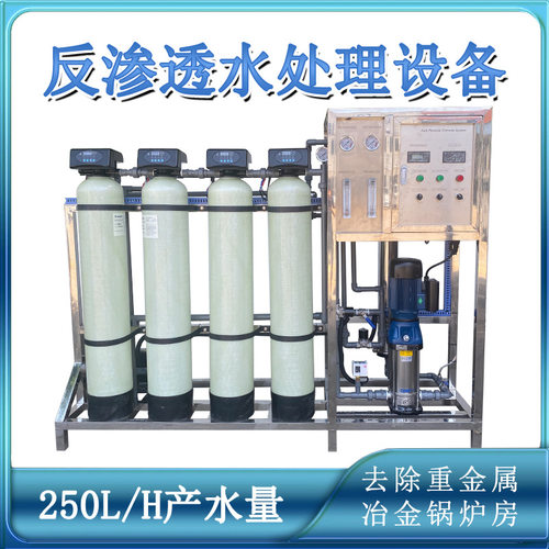 250L/H小型RO反渗透除锰砂铁机