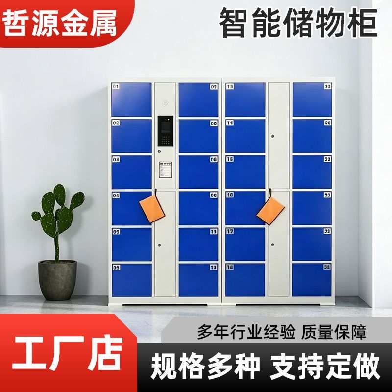智能电子存包柜12门商场公共场所储物人脸指纹识别智能储物柜