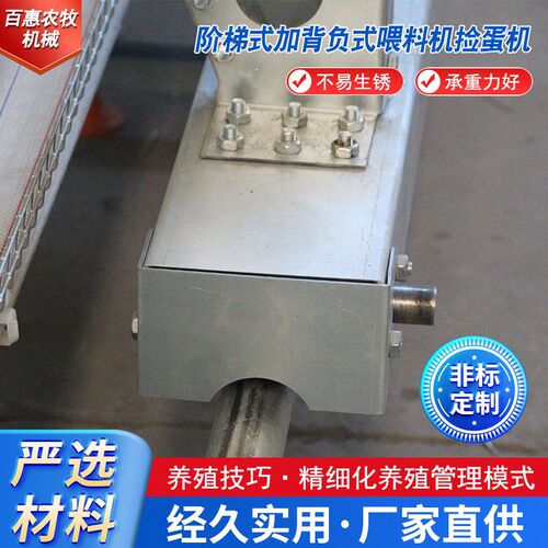 阶梯式加背d负式喂料机捡蛋机全自动阶梯蛋鸡笼集蛋系统鸡笼