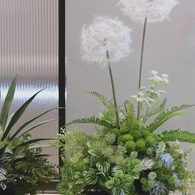 大型植物蒲公英多肉植物手感假花H室内景观角落橱窗造景装饰