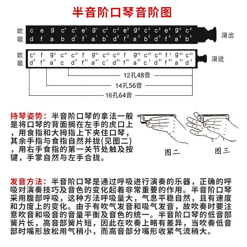 国光半音阶圆吹口琴12孔48音16孔64音专业演奏级学生初学自学乐器