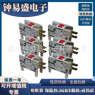 Bussmann熔断器 170H0069 MSW710-1S 170H3027 170H0237微动开关