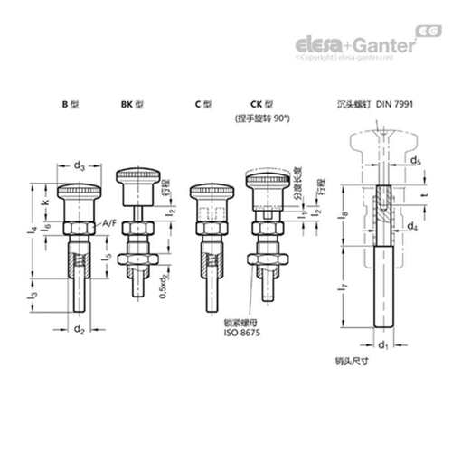 Elesa Ganter伊莉莎冈特 GN 817.8分度销钢制/不锈钢可拆卸