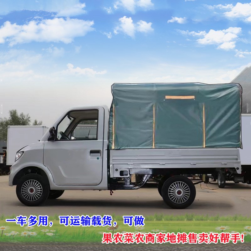 农户运输代步f车可配增程器发电单排2门2座电动四轮载货厂区电商