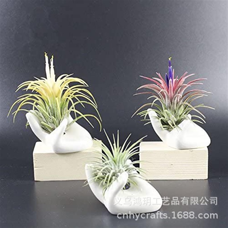 简约白色创c意园艺仿真手形陶瓷可爱多肉花盆 仿真多肉 空气植物