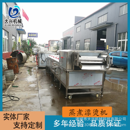 鸡脯丸子蒸煮漂烫线辣椒秋葵青菜杀青漂烫设备花生酱巴氏杀菌机