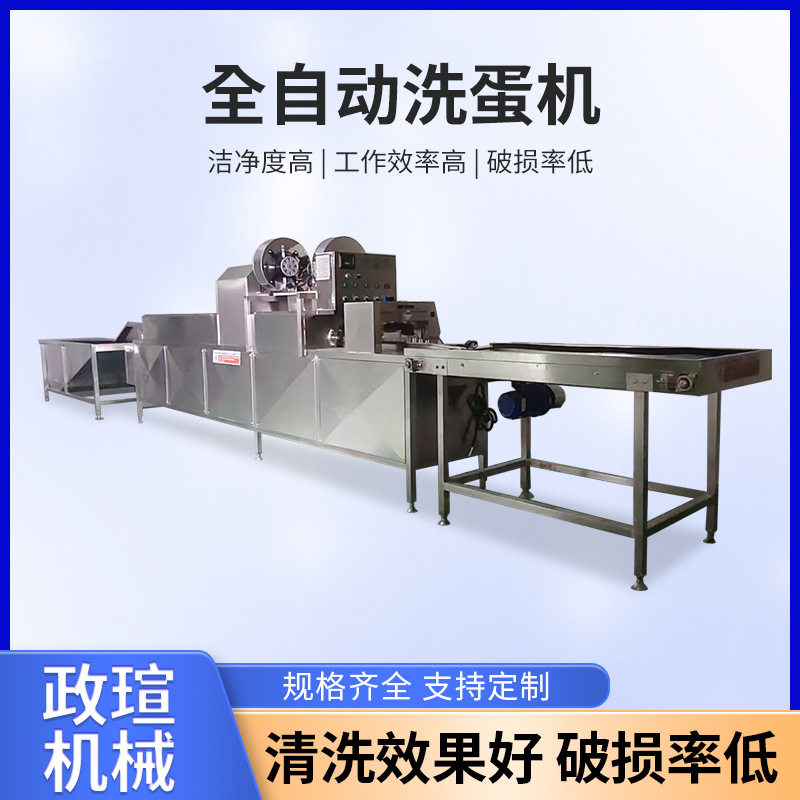 全自动水循环不锈钢洗蛋机 包灰蛋清洗线 鸭蛋皮蛋鸡蛋去泥洗蛋机