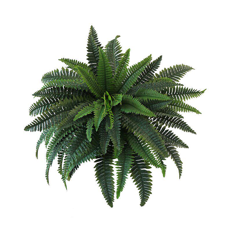 仿真绿植波斯草蕨类植物室内装饰假植H物叶子假花景观草地假树造