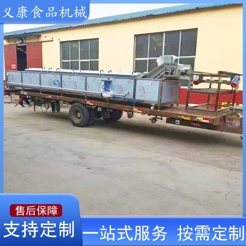 毛豆辣椒清洗杀青机  不锈钢蔬菜漂烫机N   莴苣片杀青机器