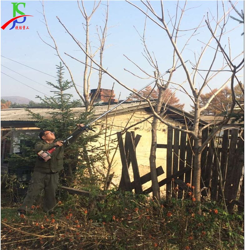小型汽油树木修枝剪 篱笆果树高枝锯 L园林修剪高空树枝工具
