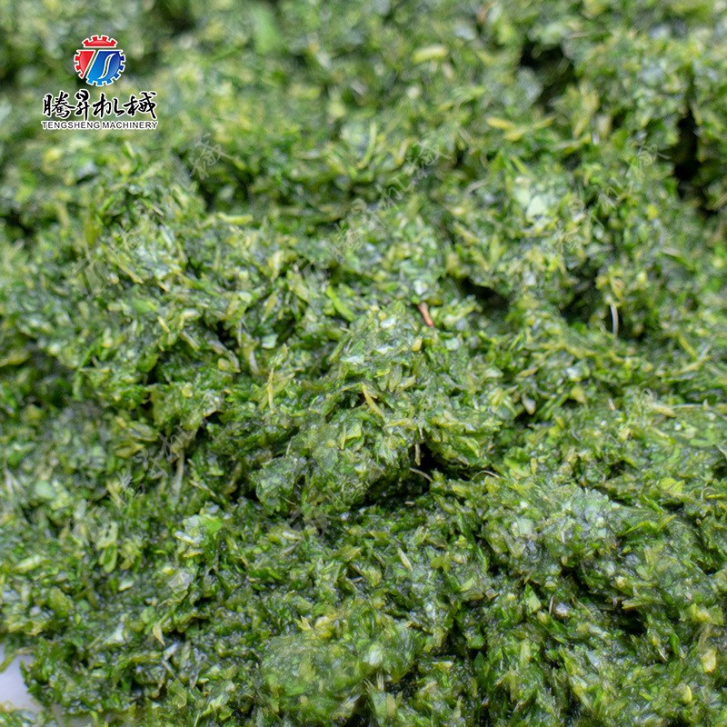 商用蒜头打泥机 大型姜蒜打泥打碎D机 叶菜葱花馅打碎机 碎菜机