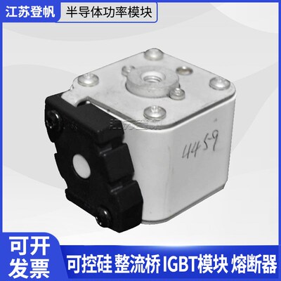 170M4459 170M5460 r 170M5808 170M5959  170M7034巴斯曼熔断器