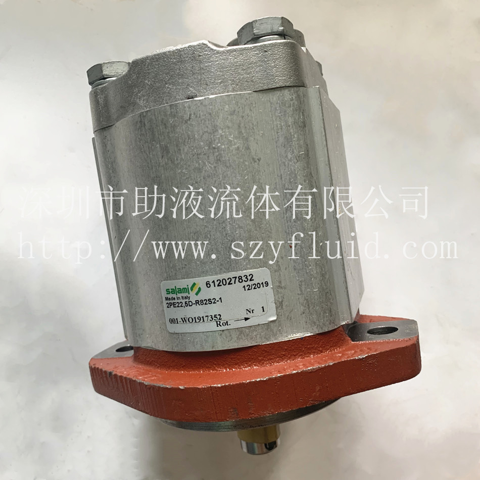 原装进口意大利萨拉米salami齿轮泵2PE22.5S-P52S2