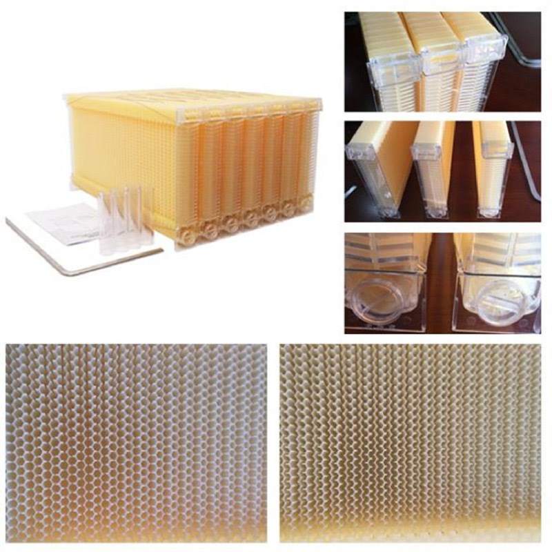 出口型热销蜂具i7PCS自流蜜巢础蜂脾自流蜜蜂箱自动取蜜塑料巢础