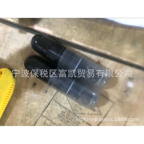 R900424149? DBDS10K1X/200? ?