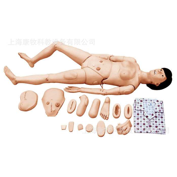 高级全功能护理训练模型（女性）