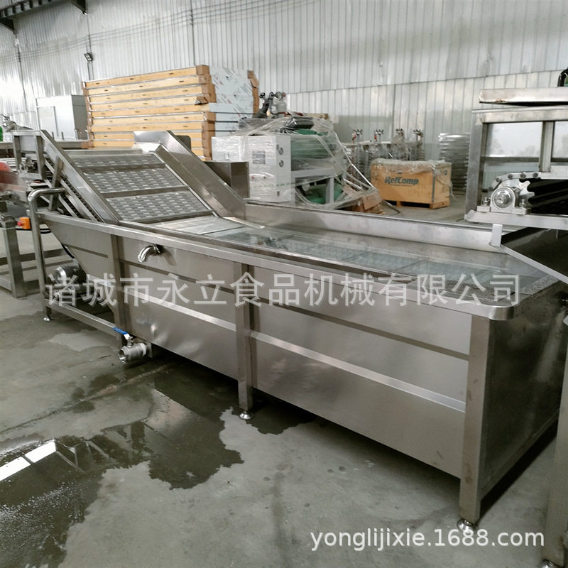 全自动大枣葡萄干气泡清洗机包装袋清洗沥水风干流水线榨菜清洗机