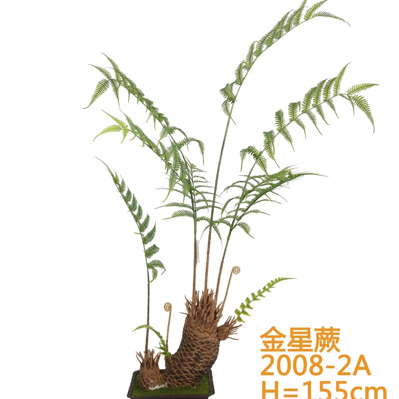 仿真植物金星蕨j盆栽蕨叶类热带绿植民宿热带雨林装饰造景蕨草摆