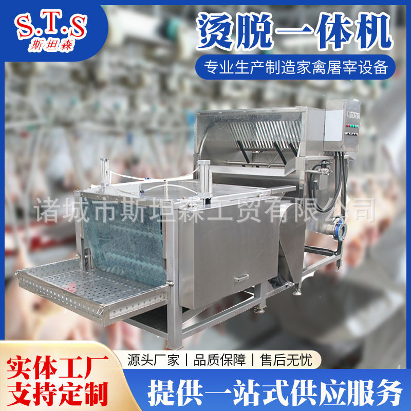 小型家禽自动烫毛脱毛一体机