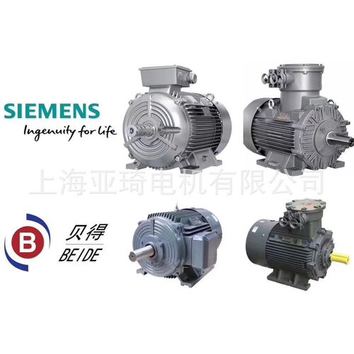1LE0001-0DB2s2-1FA4 (B5-0.55KW)电动机