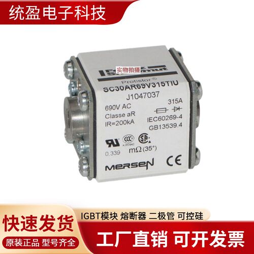 法国熔断器D70gSF120V50QF W079438 D70SF120V63QF X079439