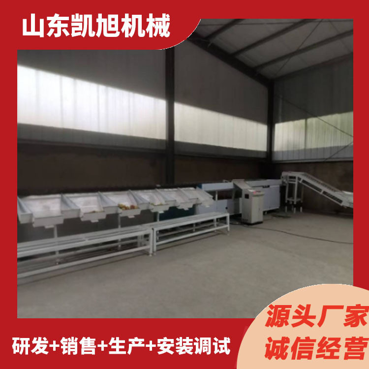 凯旭全自动智能水果色选机